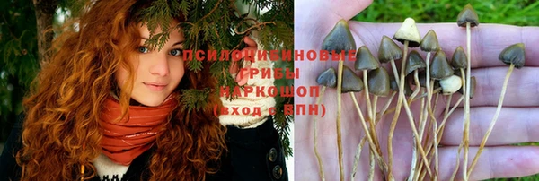 гидропоника Алексин